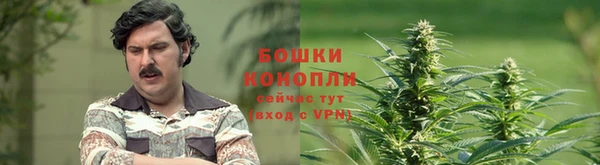 героин Алексин