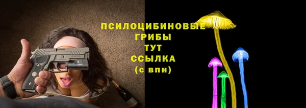 героин Алексин