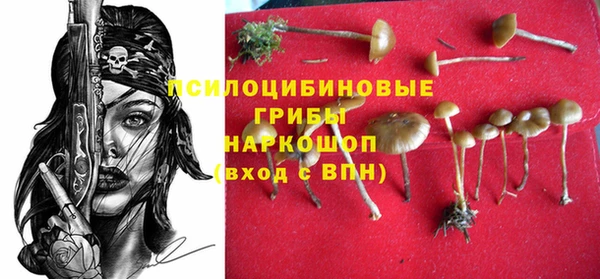apvp Алексеевка
