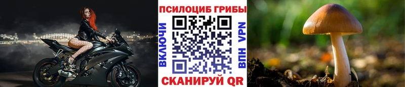 Галлюциногенные грибы Psilocybine cubensis  Каневская 